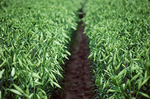 5 địa điểm tuyệt vời cho c&aacute;c "ph&oacute; nh&aacute;y"